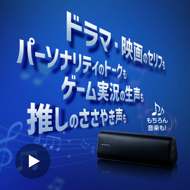 AX-FX10(K) Movie Image