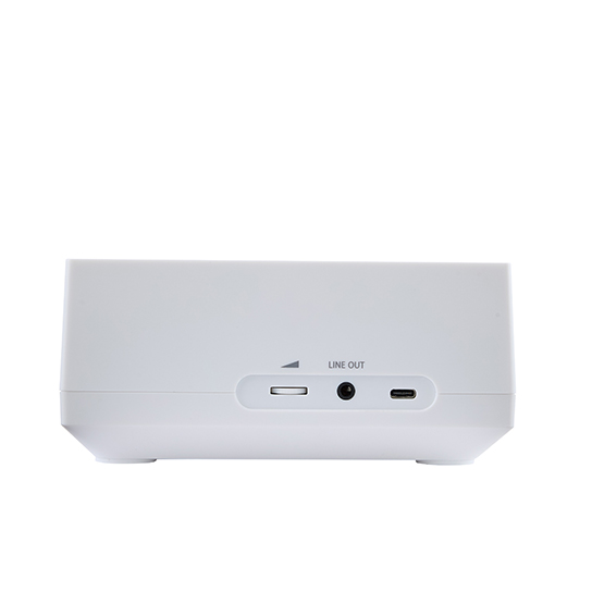 AX-RP10 Image5