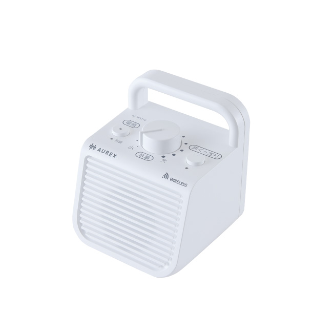 AX-WST10